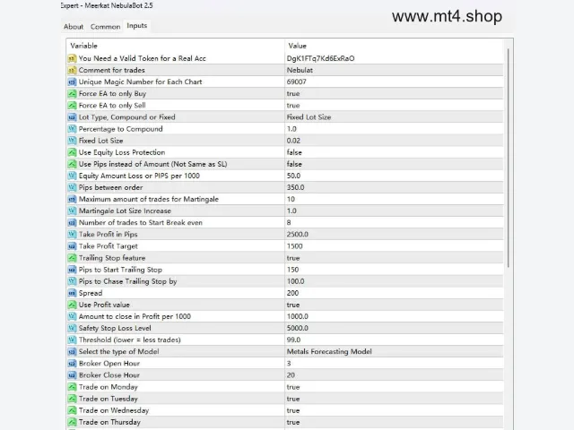 Meerkat NebulaBot 2.5 图片 2