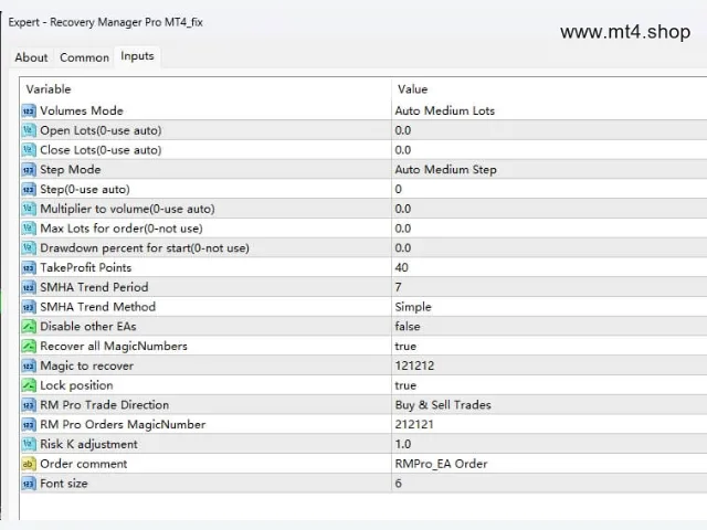 Recovery Manager Pro MT4_fix 图片 2
