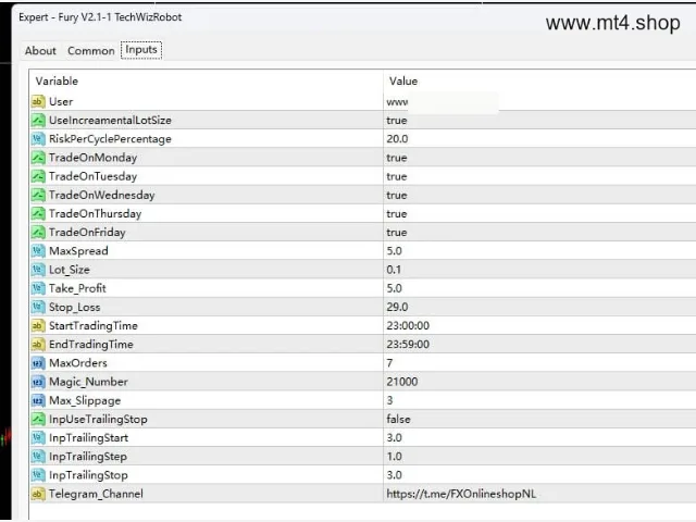 Fury V2.1 图片 2