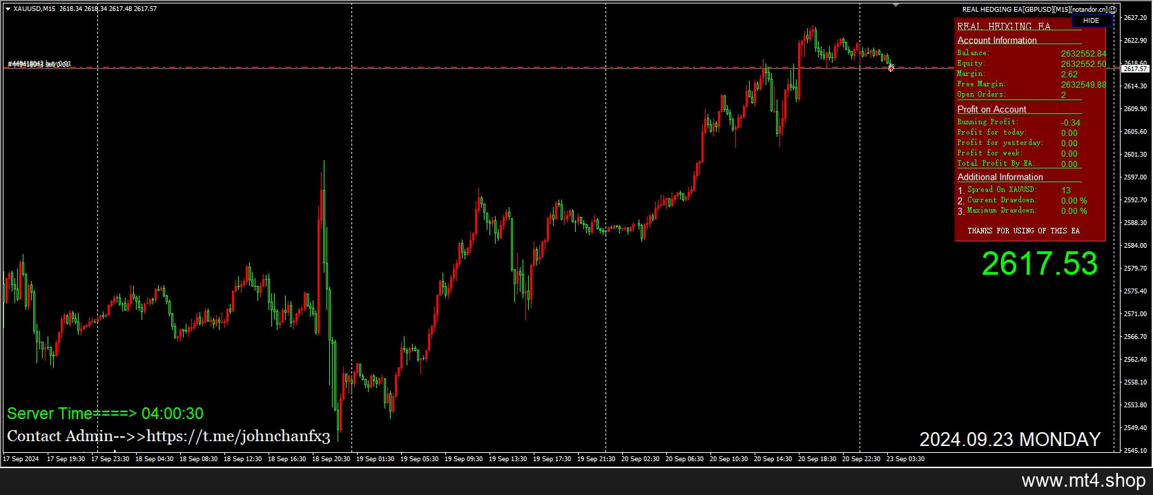 REAL HEDGING EA v3.5