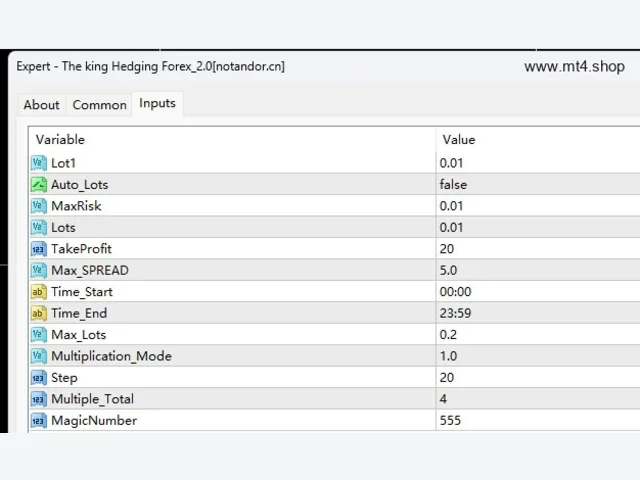 The king Hedging Forex_2.0 图片 2