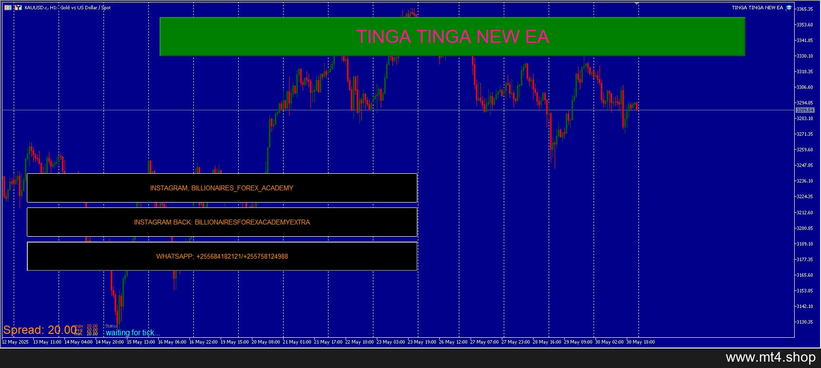 TINGA TINGA NEW EA