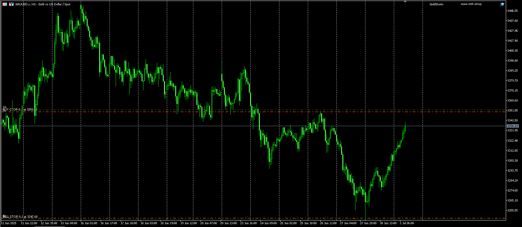 GoldStorm Pro EA V1.00[XAUUSD][H1]