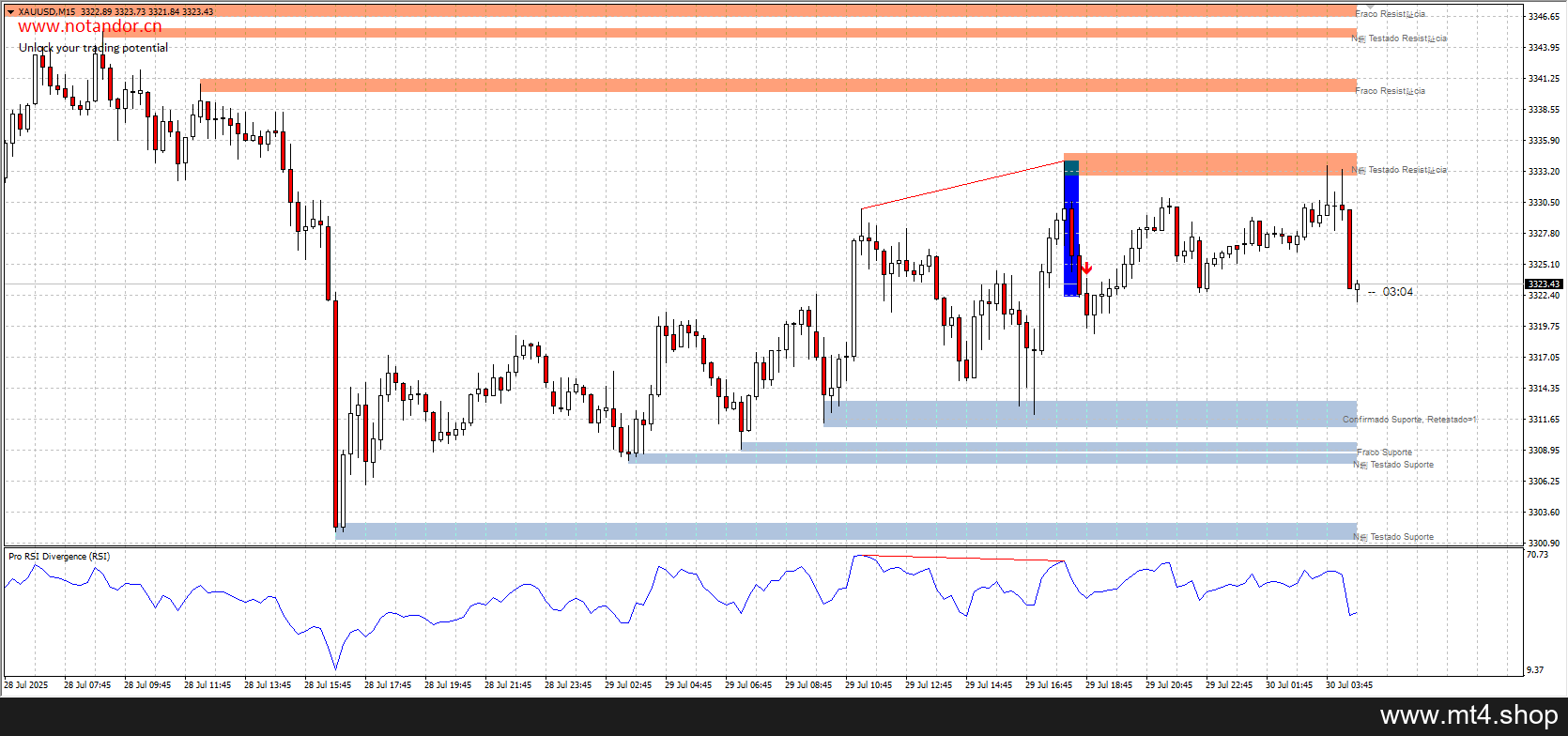 AM RSI Pro Signals Indicator