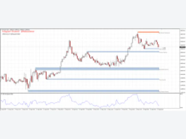 AM_RSI PRO SIGNALS 图片 2
