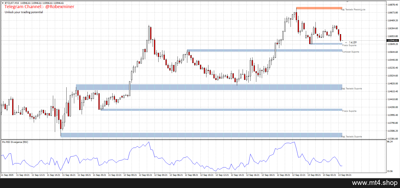 AM_RSI PRO SIGNALS