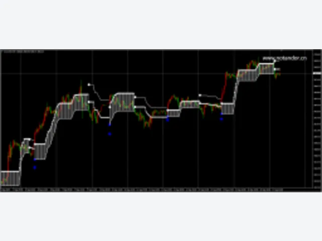 FX VECTOR Entry1 图片 2