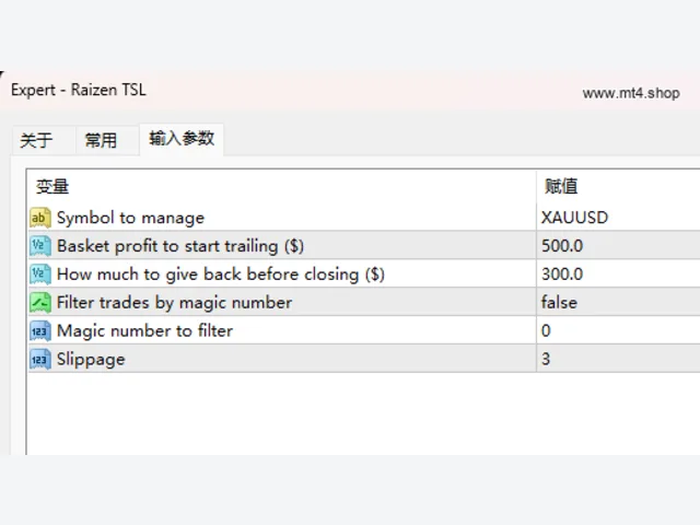 Raizen TSL 图片 3