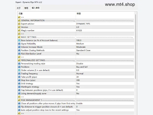 Dynamic Pips MT4 v2.2 图片 3