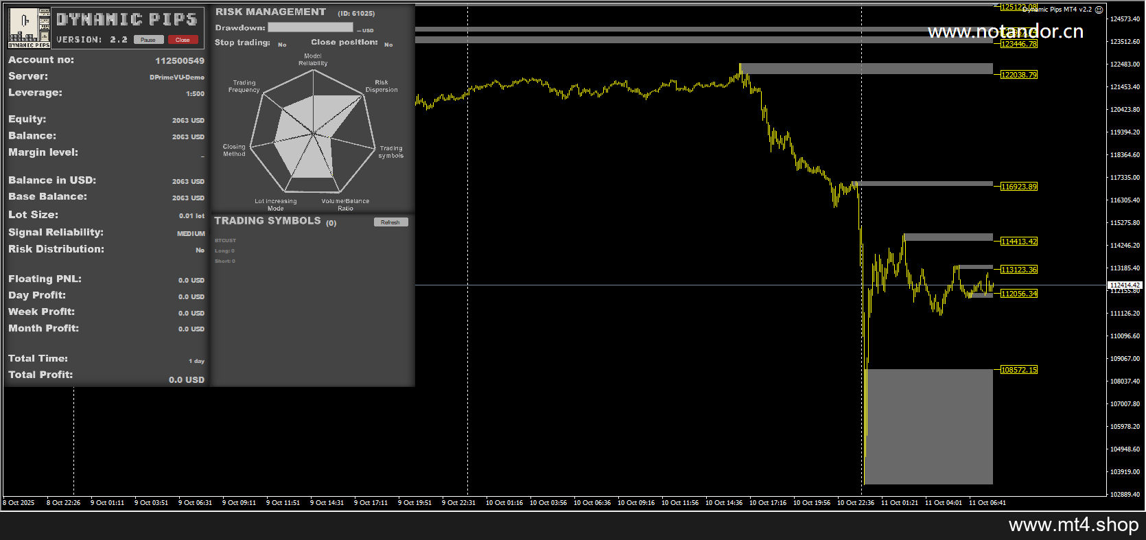 Dynamic Pips MT4 v2.2