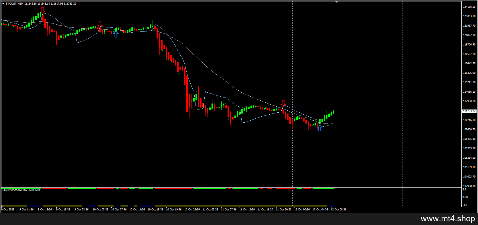 Forex Profit Machine Strategy MT4 源码