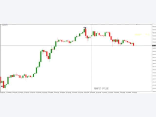 PROFIT PULSE 图片 2