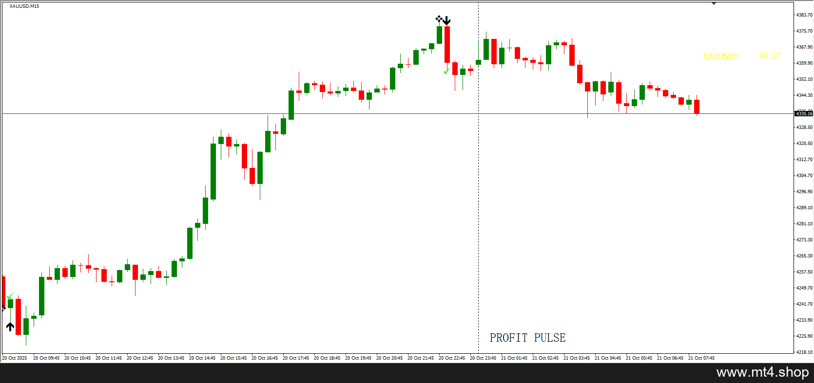 PROFIT PULSE