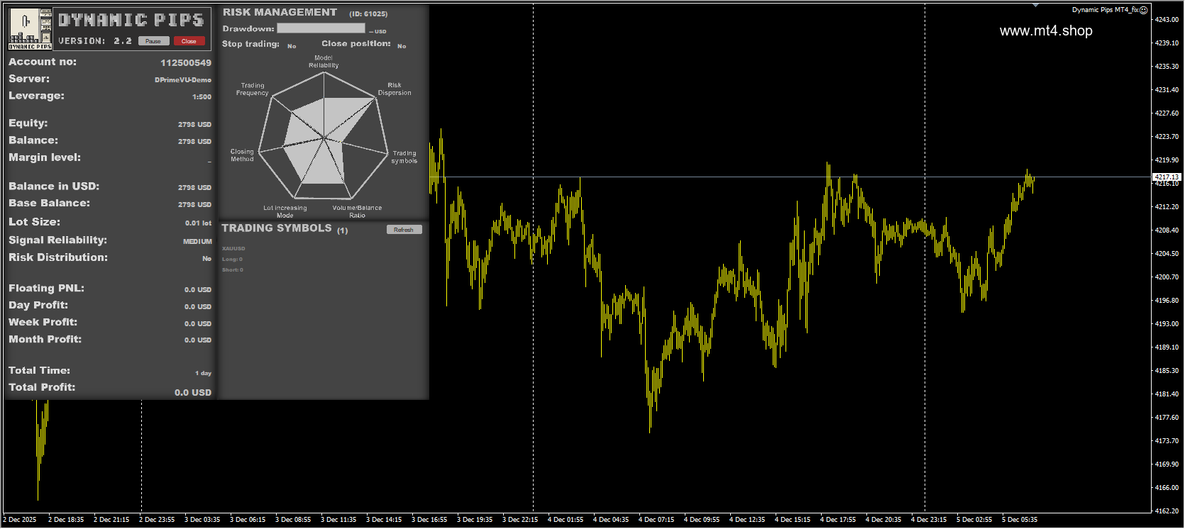 Dynamic Pips MT4_fix