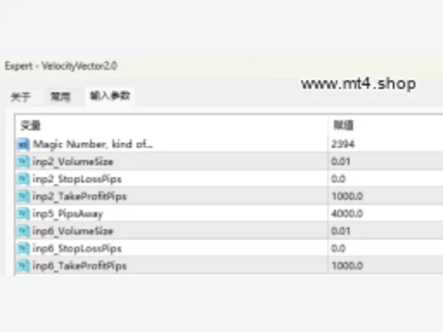 VelocityVector2.0 图片 2