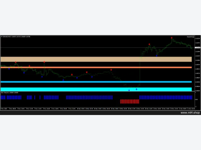 FOREX SAS system 图片 2