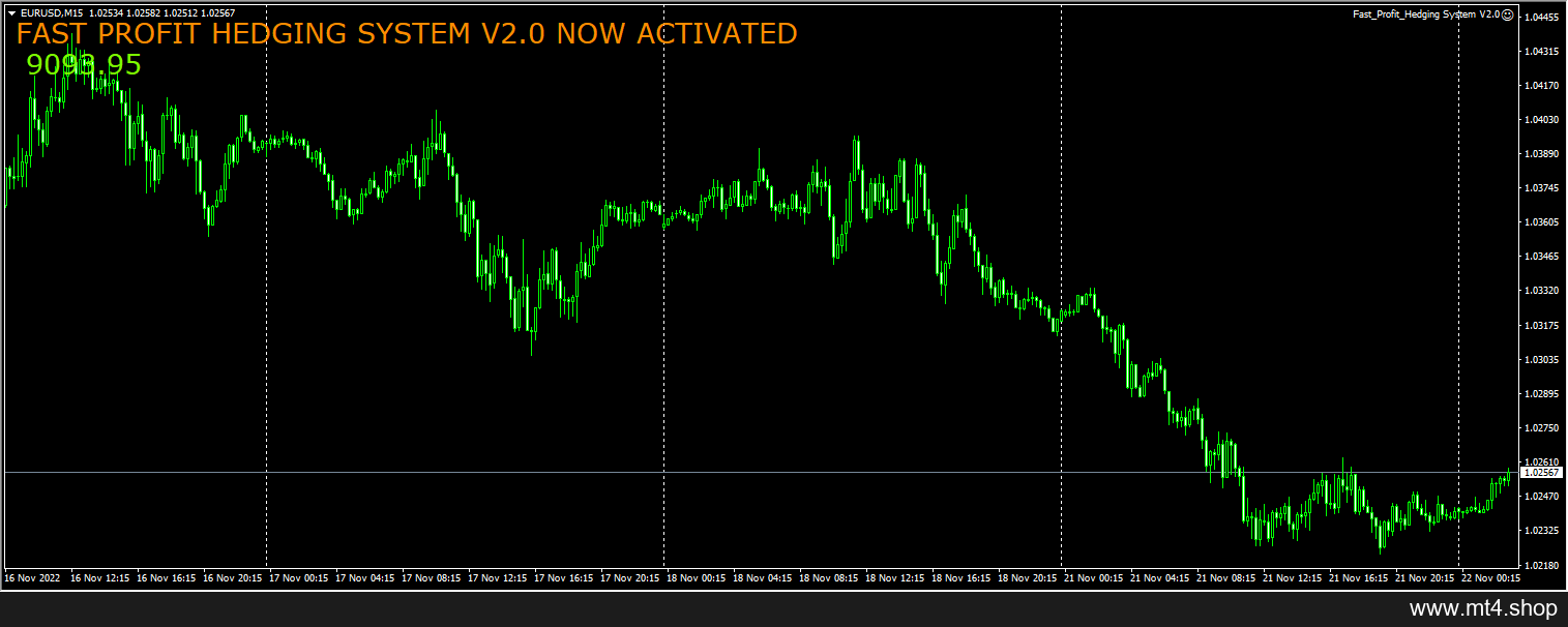 Fast_Profit_Hedging System V2.0
