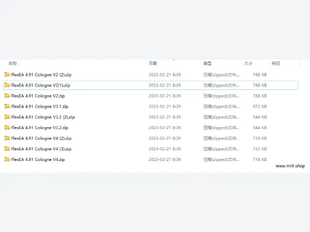 FlexEA 4.91 Cologne V4 图片 3