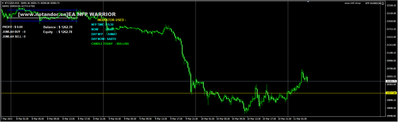 EA NFP WARRIOR