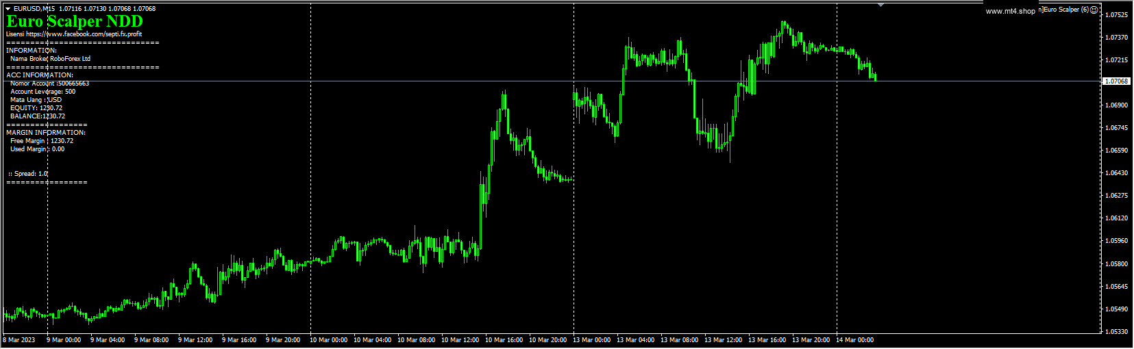 Euro Scalper 源码
